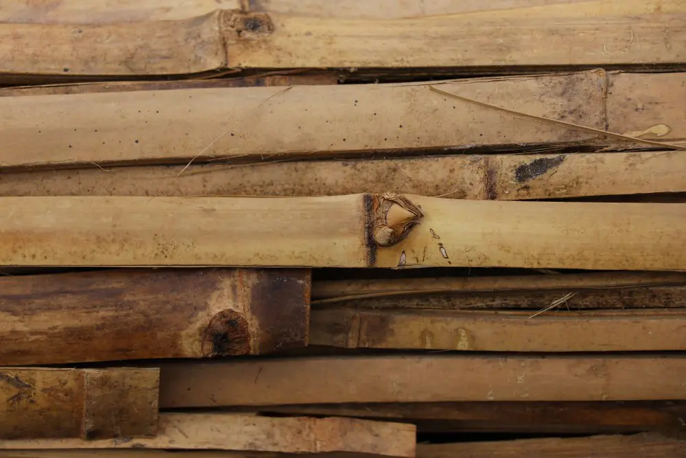 Split beam close up, Erebero Hills, Uganda