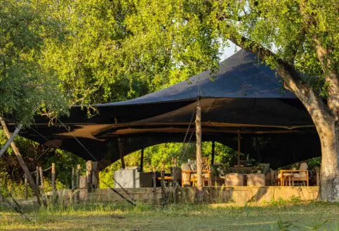 Roho ya Selous' lounge tent shaded by lush trees