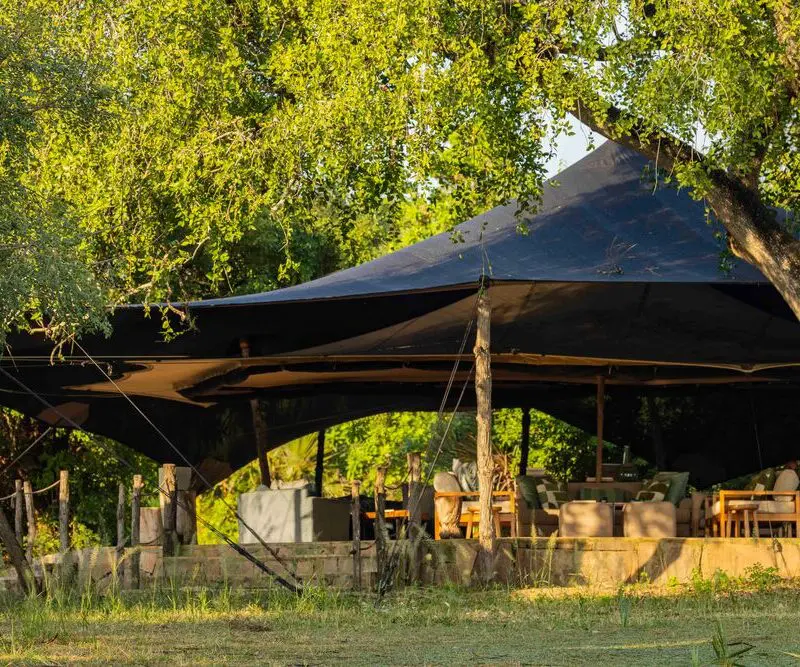 Roho ya Selous' lounge tent shaded by lush trees