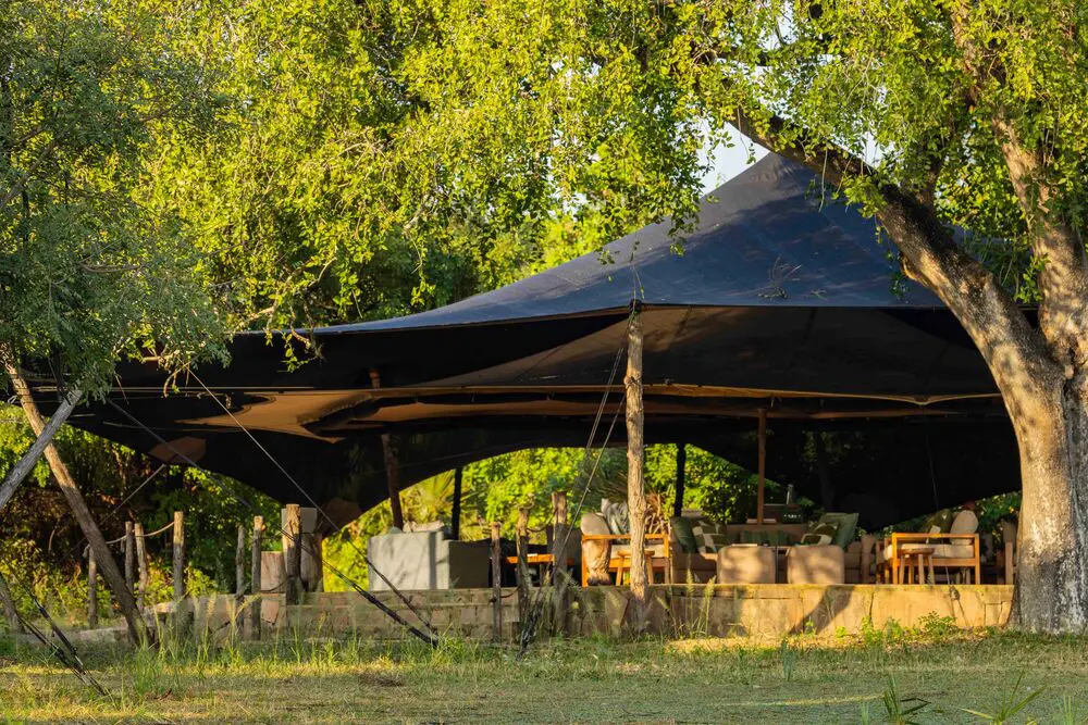 Roho ya Selous' lounge tent shaded by lush trees
