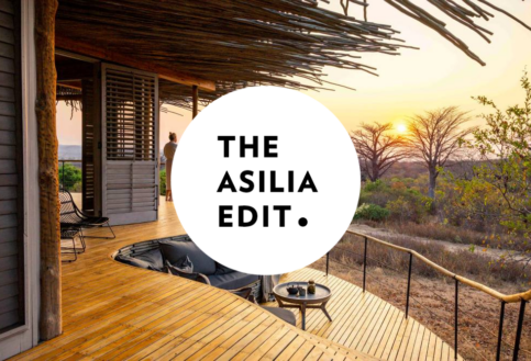 Asilia Edit Blog covers 1