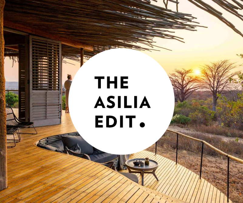 Asilia Edit Blog covers 1