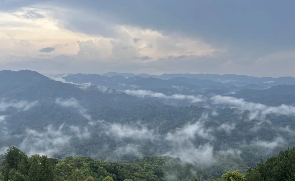 Views over Bwindi Impenetrable Forest, Uganda