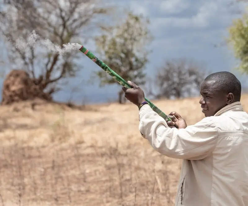 A roman candle being used as a deterrent, Tanzania.