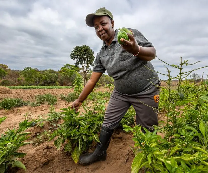 A farmer with her vegetables in Southern Tanzania.