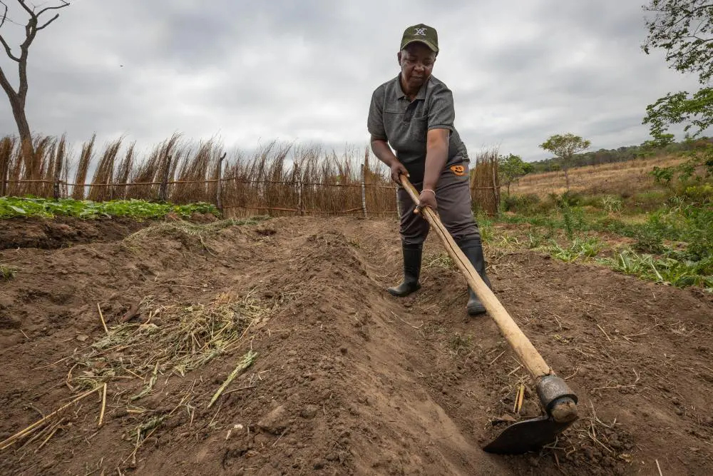 A farmer ploughs her field ahead of planting, Southern Tanzania.
