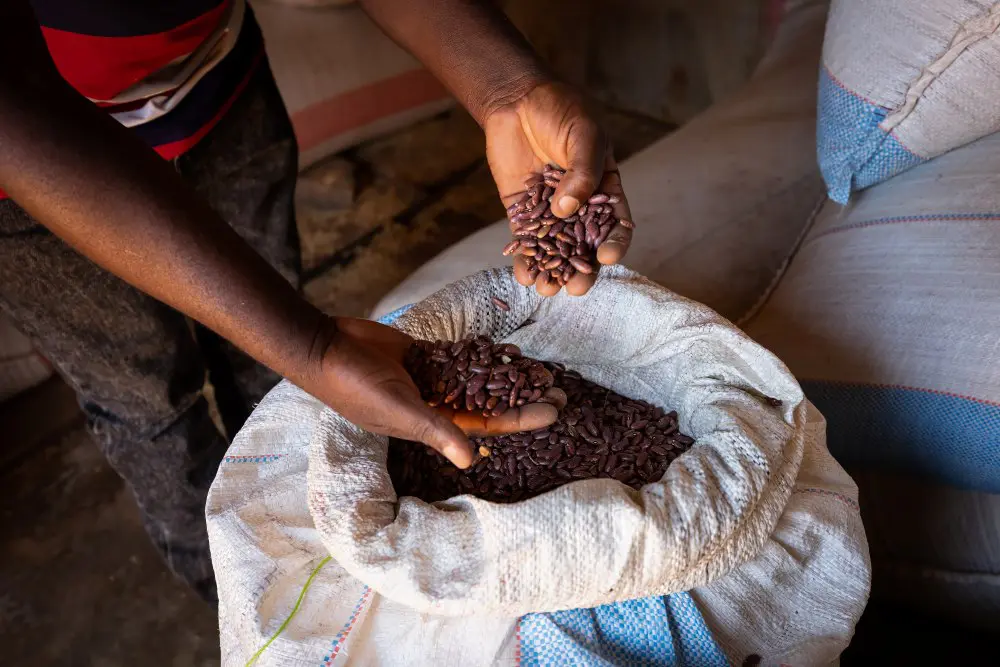 Increaasing the yield of subsistence farmers is a crucial element for success, Southern Tanzania.