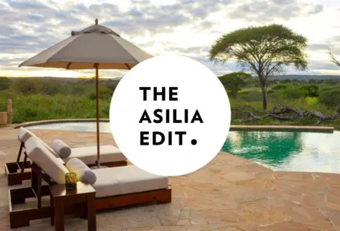 Asilia Edit Blog covers