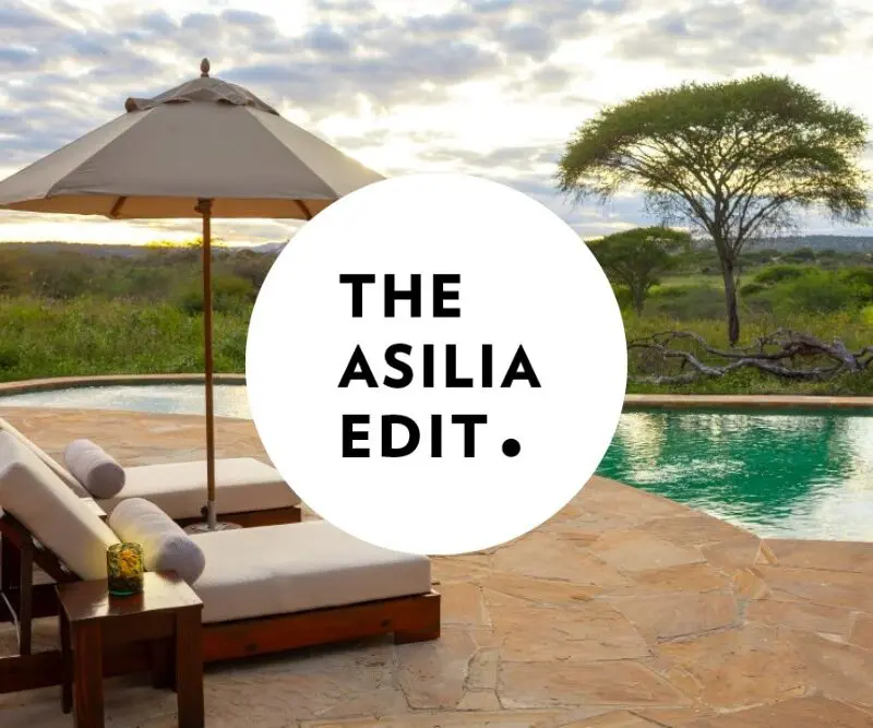 Asilia Edit Blog covers