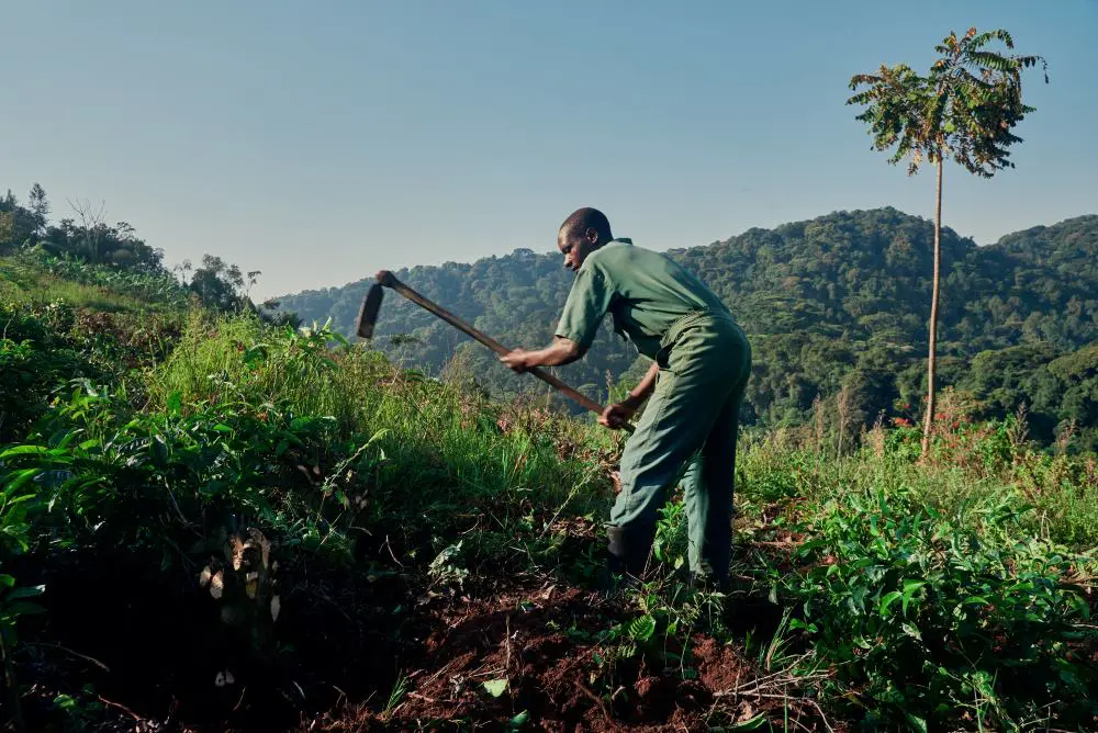 A community worker clears ground on the slopes of Erebero Hills, Uganda.