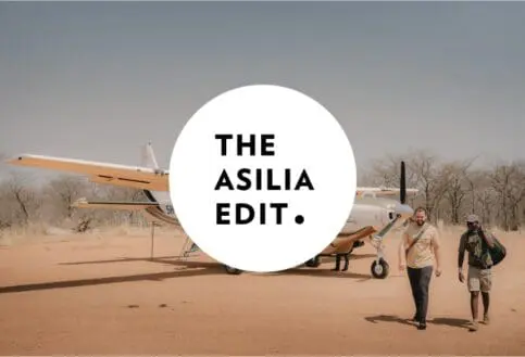 The Asilia Edit - The Signature Edition