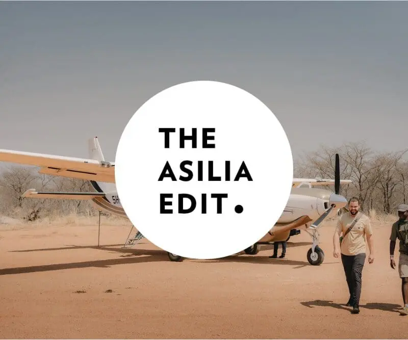 The Asilia Edit - The Signature Edition