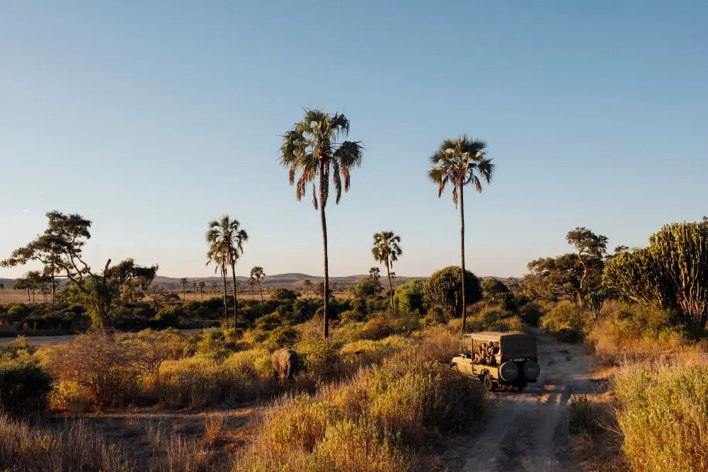 Landscape of Ruaha National Park, Tanzania.