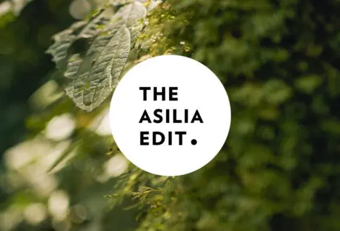 The Asilia Edit - The Primate Edition