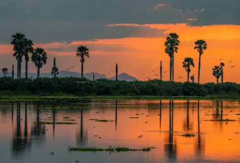 Sunset reflected off the waters of Nyerere National Park, Tanzania.
