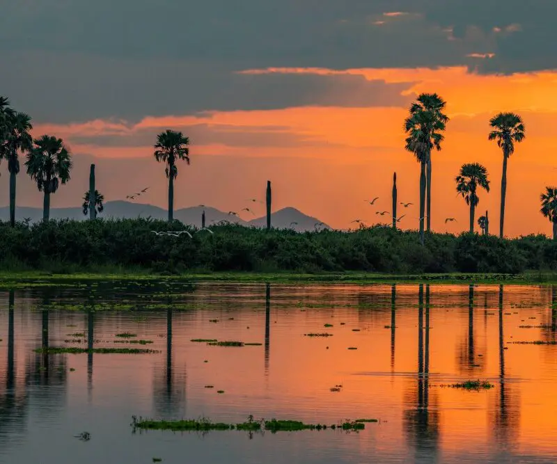 Sunset reflected off the waters of Nyerere National Park, Tanzania.