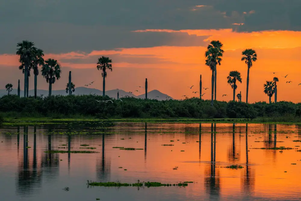 Sunset reflected off the waters of Nyerere National Park, Tanzania.