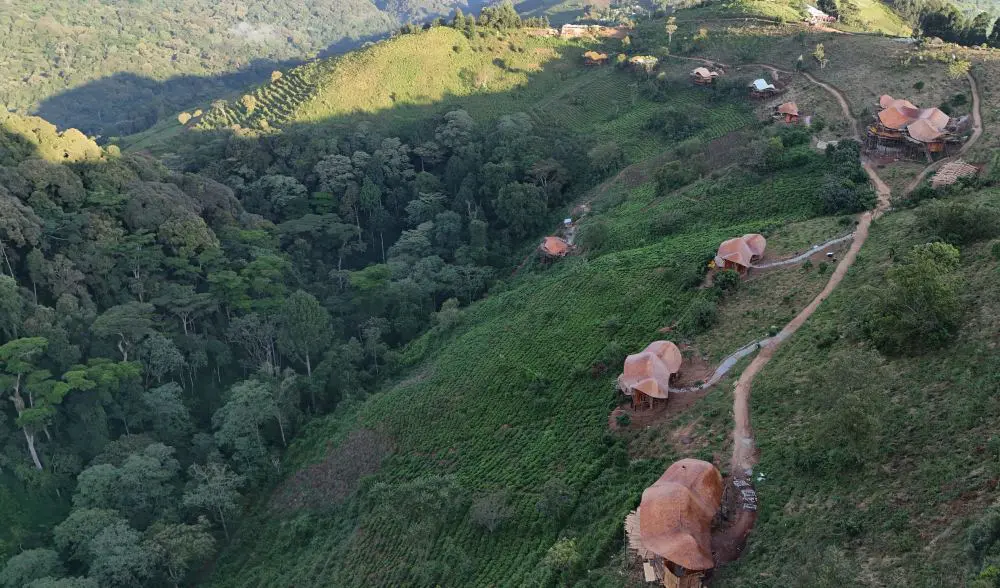 Aerial view of Erebero Hills, Bwindi, Uganda