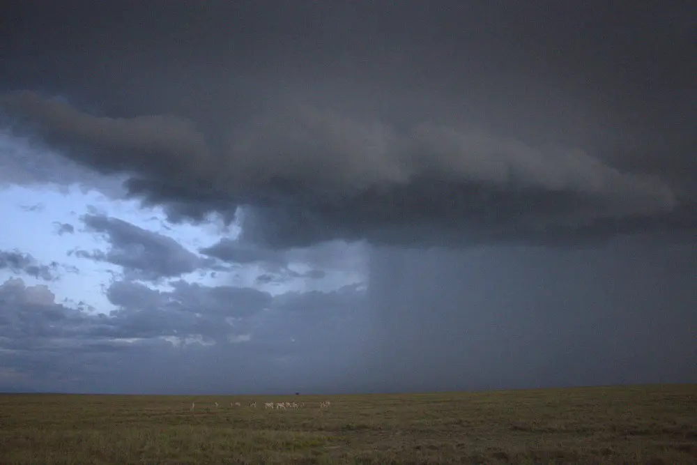 Rainfall across the plains, Serengeti National Park, Tanzania.