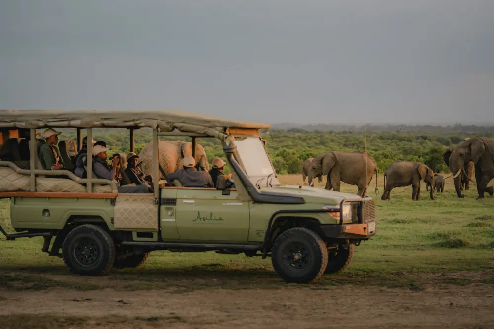 Children viewing elephants in Ol Pejeta Conservancy, Kenya.