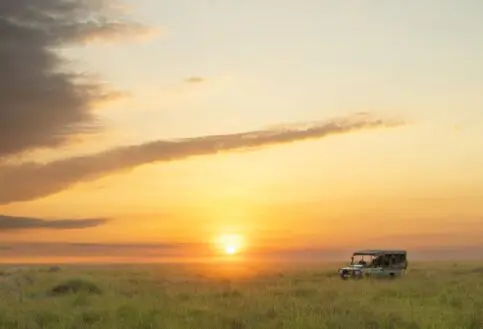 A lone vehicle on the plains at sunset, Mara Naboisho Conservancy, Kenya