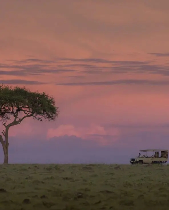 Asilia Africa Naboisho Camp 95 Website Header Carousel Reviews