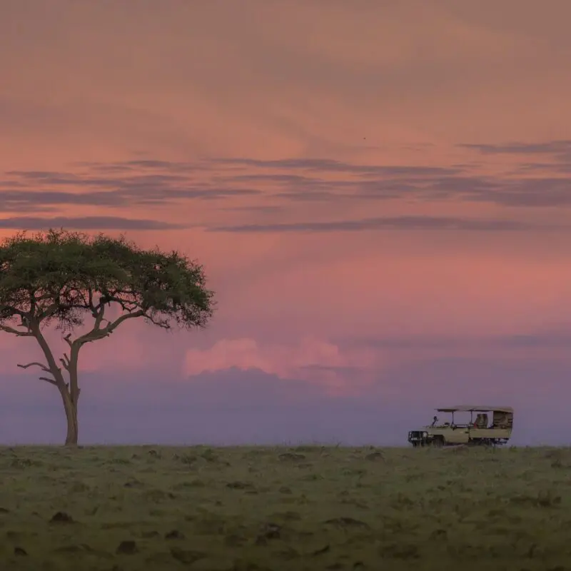 Asilia Africa Naboisho Camp 95 Website Header Carousel Reviews
