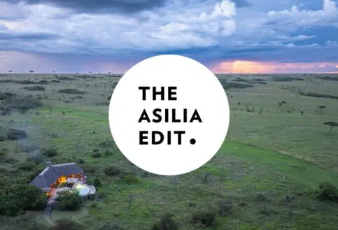 Asilia Edit Blog cover