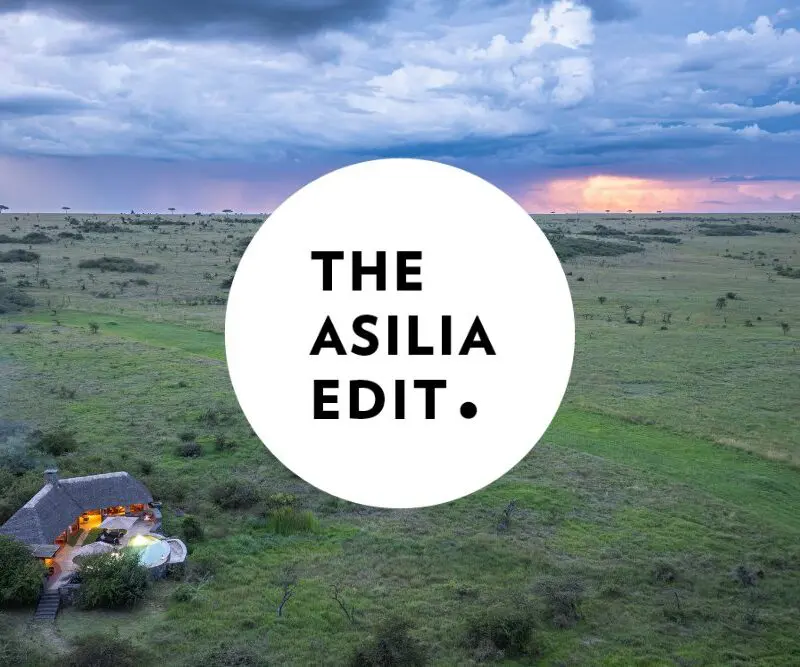Asilia Edit Blog cover
