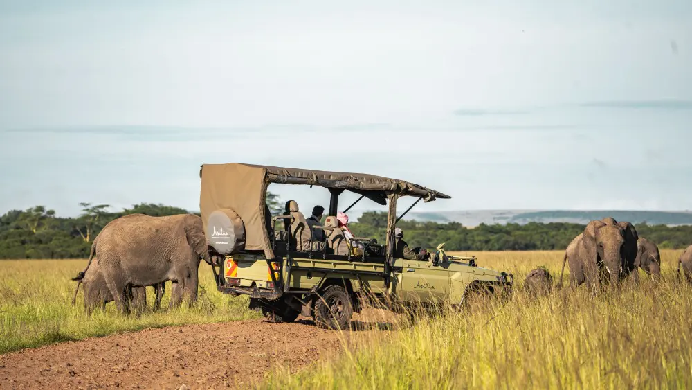 An e-vehicle at an elephant sighting, Maasai Mara, Kenya.