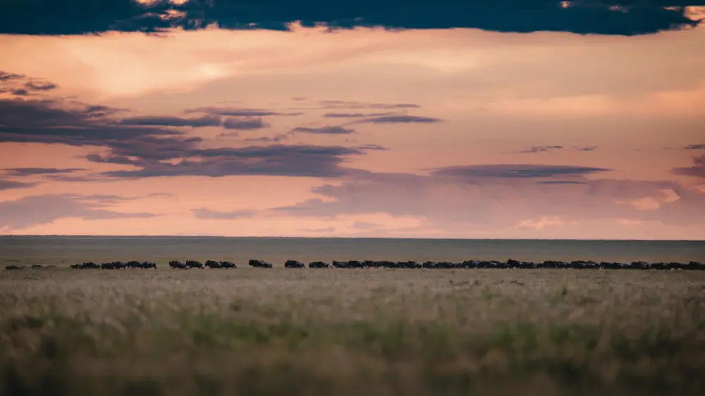 The eastern Serengeti, Tanzania.