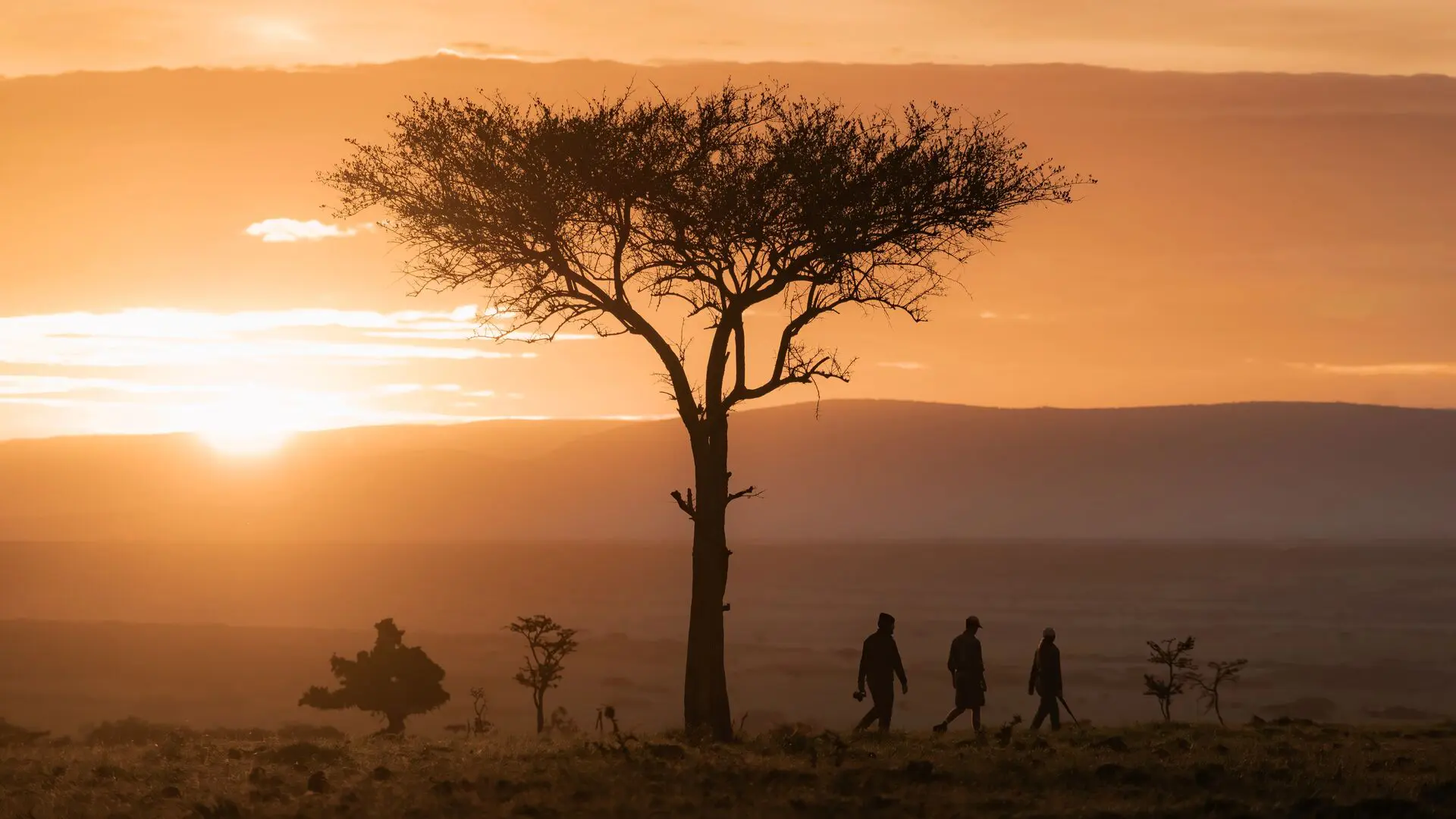 Walking safari in the Mara-Naboisho Conservancy