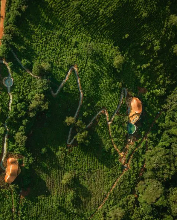 An aerial view of curved lodge buildings at Erebero Hills, showing pathways and cultivated greenery surrounded by dense forest.