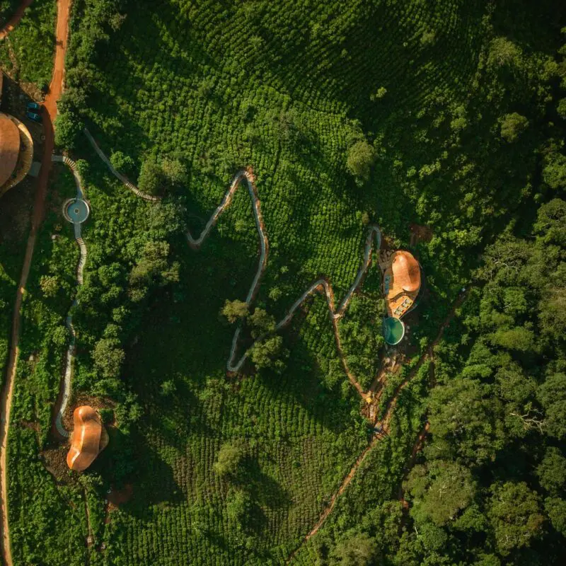 An aerial view of curved lodge buildings at Erebero Hills, showing pathways and cultivated greenery surrounded by dense forest.