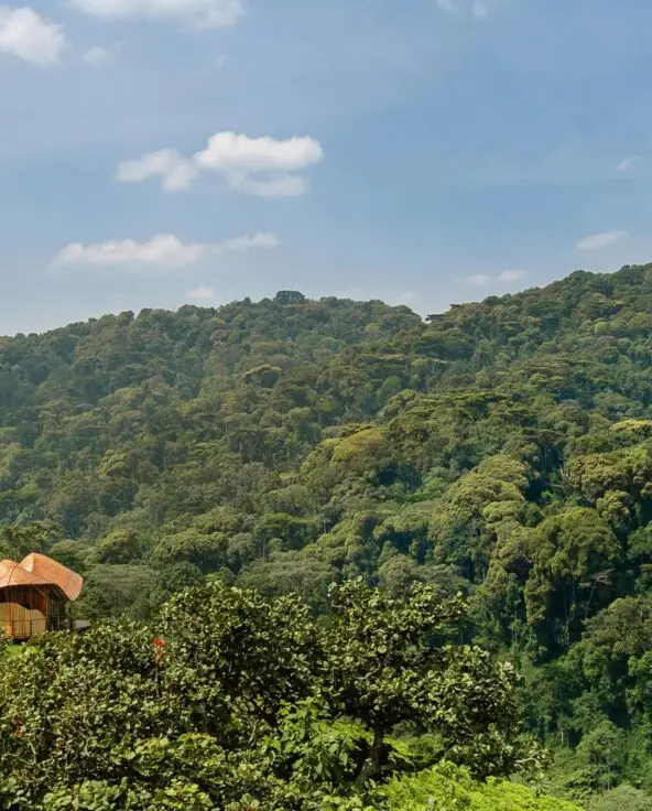 Several lodge buildings at Erebero Hills sit along the lush hillside overlooking densely forested mountains beneath a blue sky.