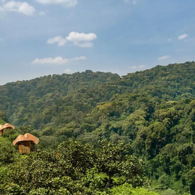 Several lodge buildings at Erebero Hills sit along the lush hillside overlooking densely forested mountains beneath a blue sky.
