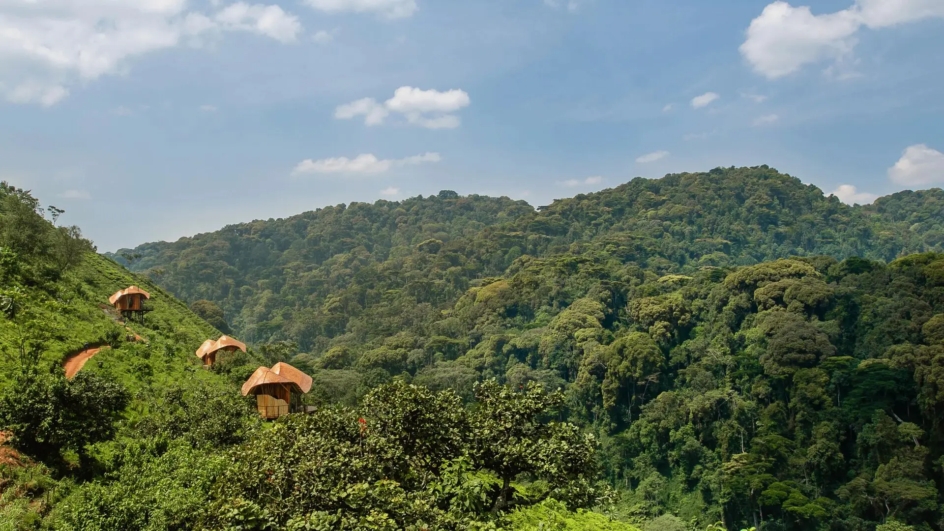 Several lodge buildings at Erebero Hills sit along the lush hillside overlooking densely forested mountains beneath a blue sky.