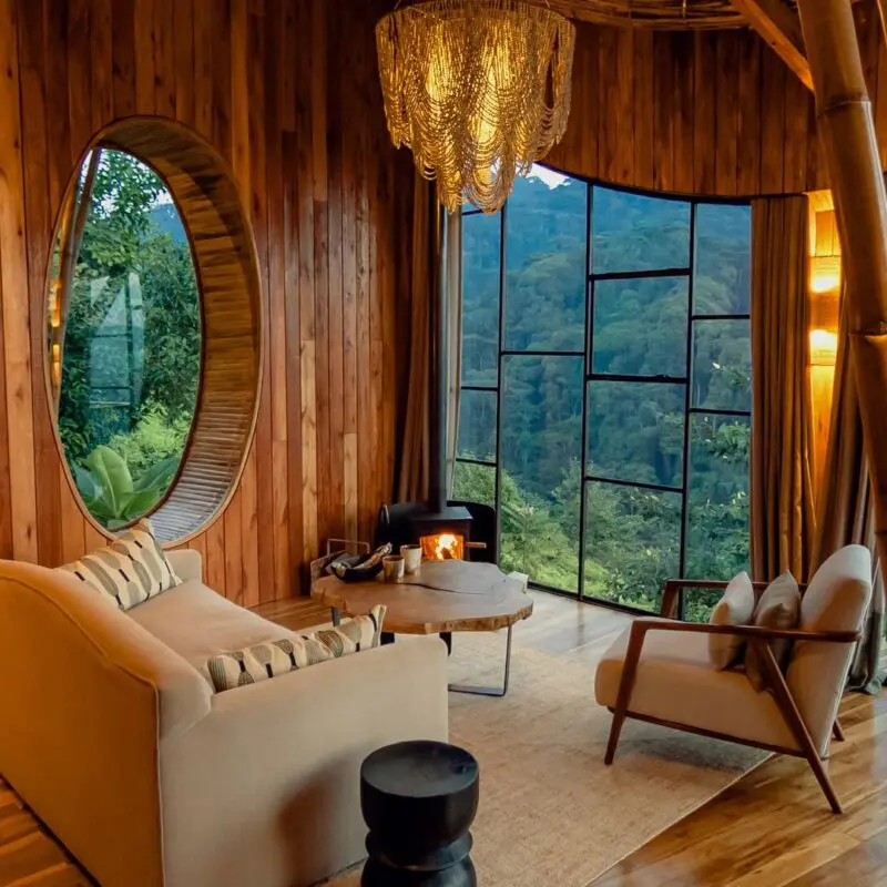 Timber lounge at Erebero Hills with a fireplace, comfortable seating and large windows overlooking the forest.