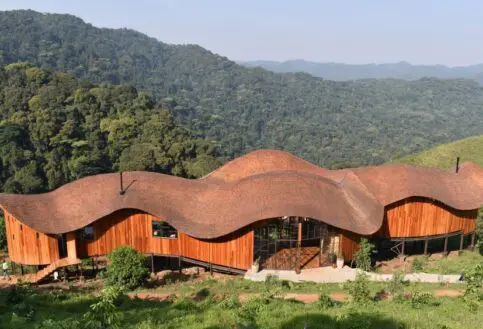Main Area, Erebero Hills, Bwindi Impenetrable Forest, Uganda