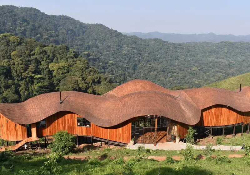 Main Area, Erebero Hills, Bwindi Impenetrable Forest, Uganda