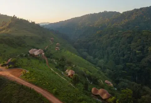 Aerial view of Erebero Hills, Bwindi, Uganda.