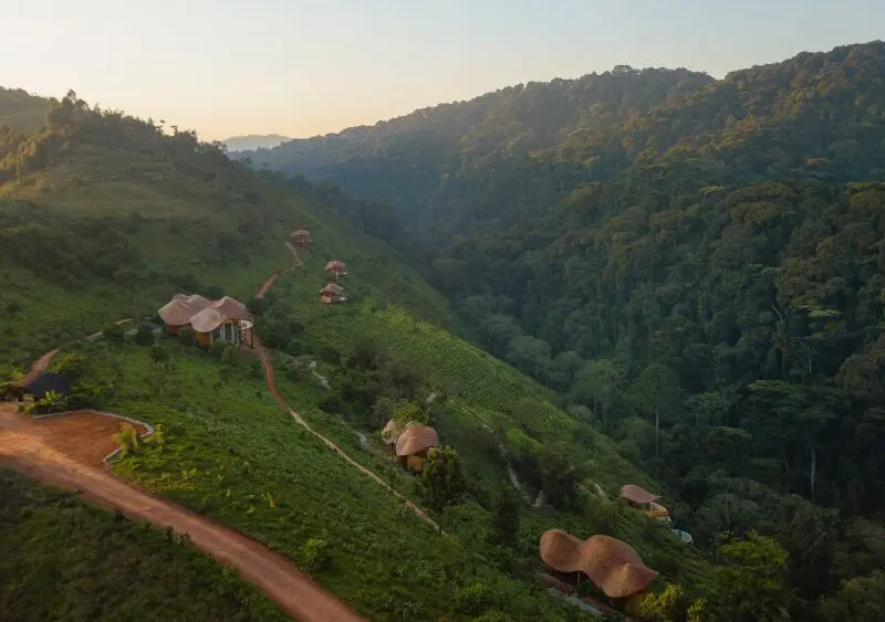 Aerial view of Erebero Hills, Bwindi, Uganda.