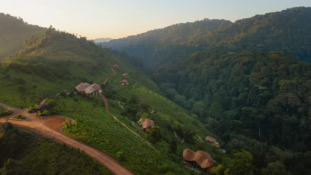 Aerial view of Erebero Hills, Bwindi, Uganda.