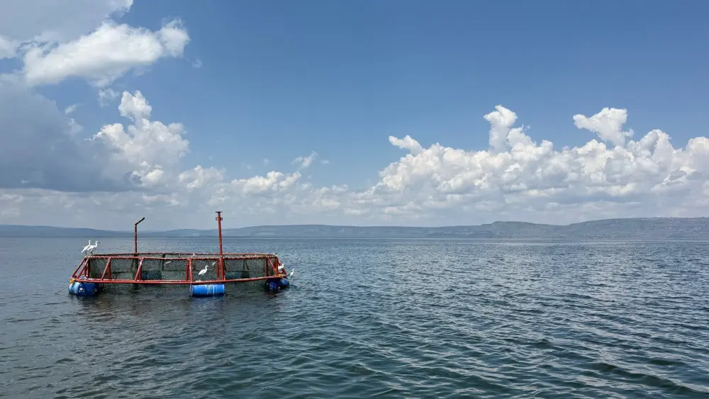 A fishing cage, Lake Victoria, Tanzania.