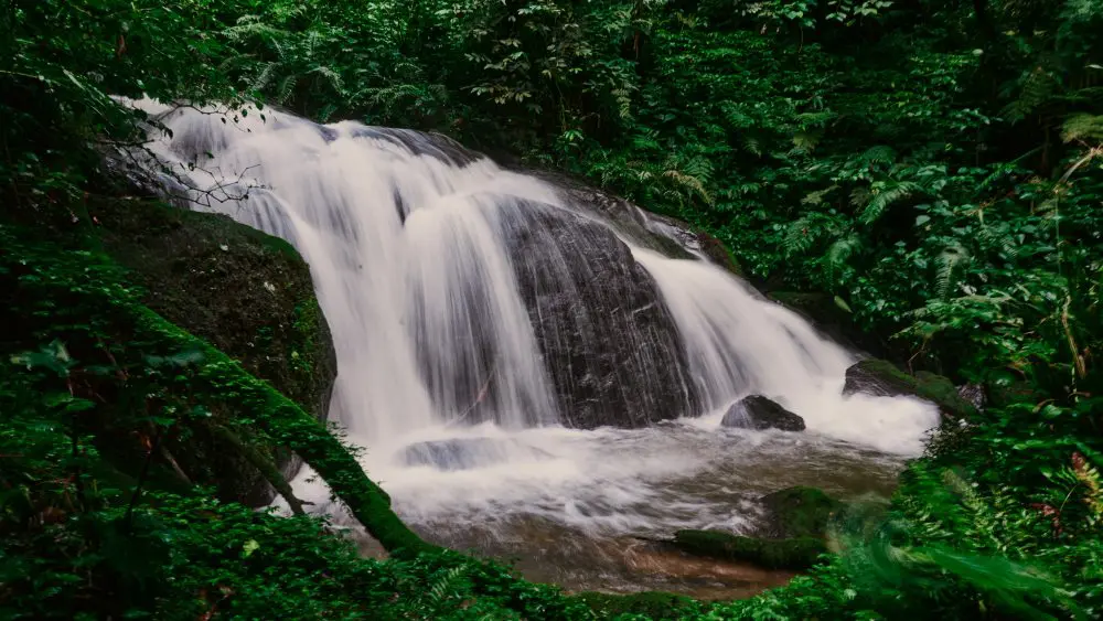 Waterfall, Bwindi Impenetrable Forest, Uganda.
