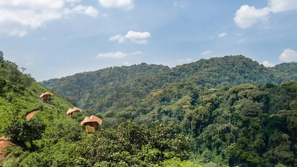 Erebero Hills, Uganda.