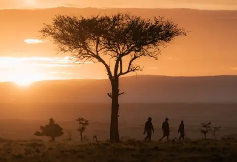 Walking safari, Naboisho Camp, Mara Naboisho Conservancy, Kenya.