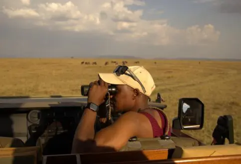 Guiding in the conservancy, Mara Naboisho Conservancy, Kenya.