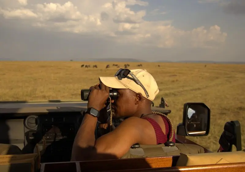 Guiding in the conservancy, Mara Naboisho Conservancy, Kenya.