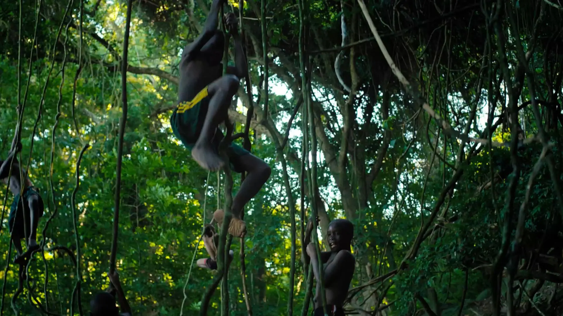 Boys swinging on the tree vines in the Rubondo Island forest, Tanzania